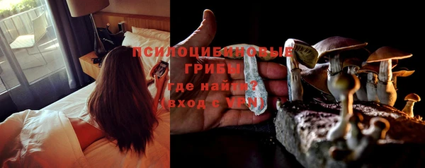 apvp Волосово